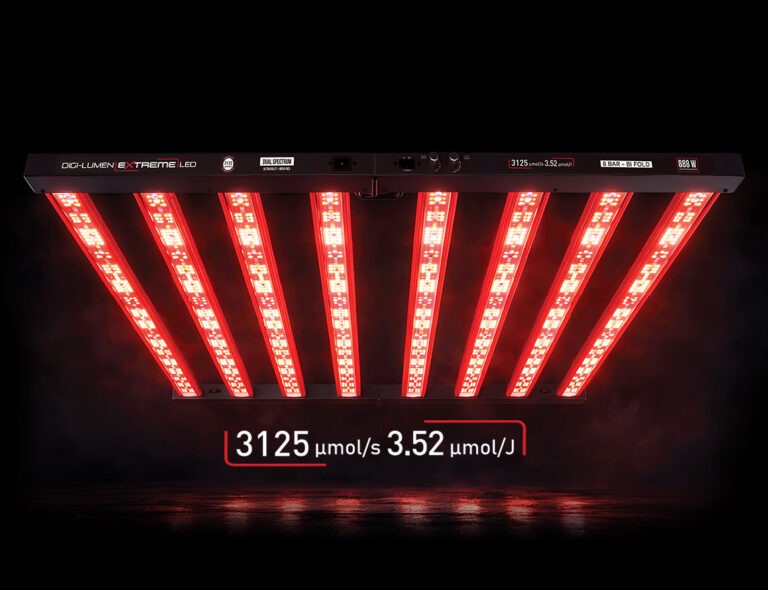 Digi-Lumen – LED the way to a brighter future